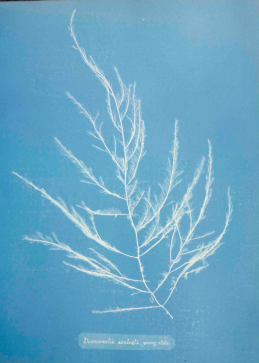 Screenshot 2020-12-08 175610